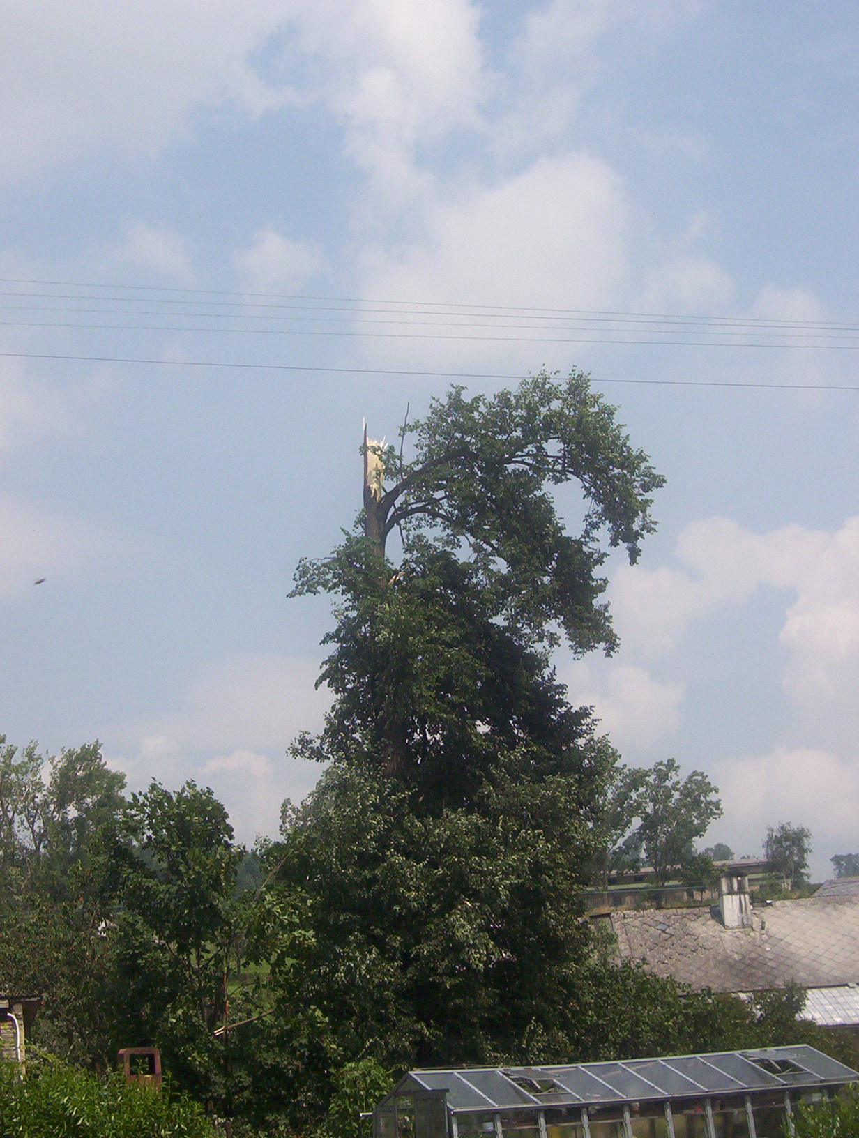 100_1679.jpg