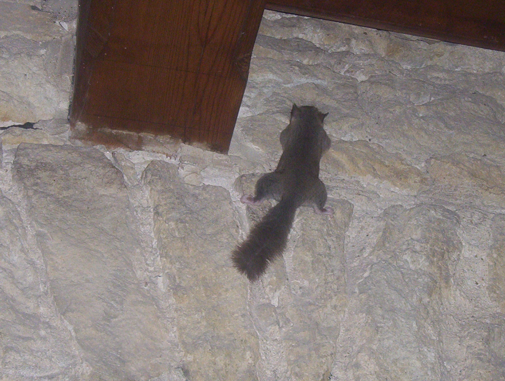 100_2112.jpg