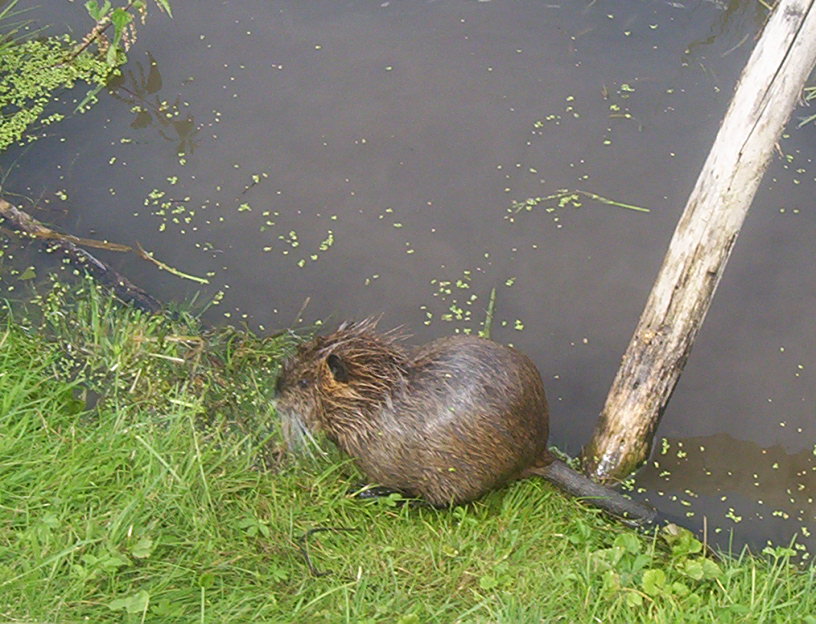 100_2269.jpg